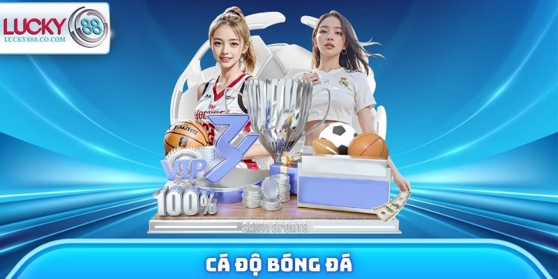 Cá Độ Bóng Đá Lucky88 - Sân Chơi Xanh Chín Trả Thưởng 1 Phút 9 Cá Độ Bóng Đá