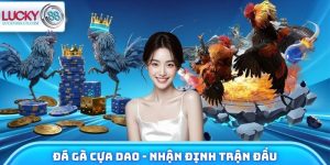 Đá Gà Cựa Dao - Nhận Định Trận Đấu, Trải Nghiệm Tiềm Năng 4 Đá Gà Cựa Dao