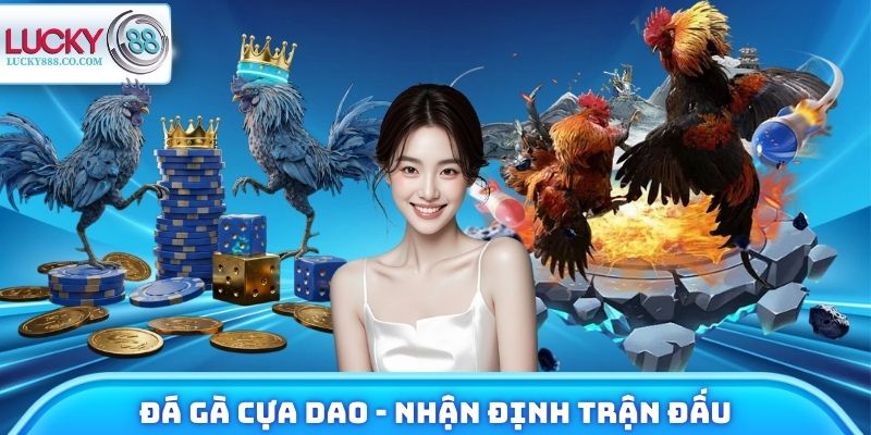 Đá Gà Cựa Dao - Nhận Định Trận Đấu, Trải Nghiệm Tiềm Năng 4 Đá Gà Cựa Dao