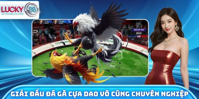 Đá Gà Cựa Dao - Nhận Định Trận Đấu, Trải Nghiệm Tiềm Năng 4 Giải đấu đá gà cựa dao vô cùng chuyên nghiệp
