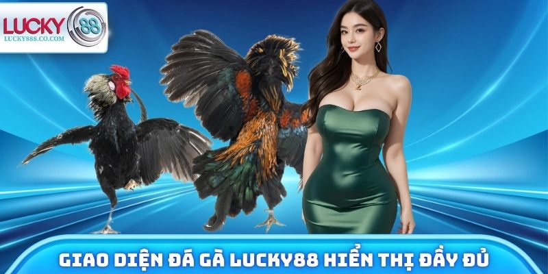 Đá Gà Lucky88 - Xem Chiến Kê Trực Tuyến, Đặt Cược 24/7 2 Giao diện đá gà Lucky88 hiển thị đầy đủ tính năng